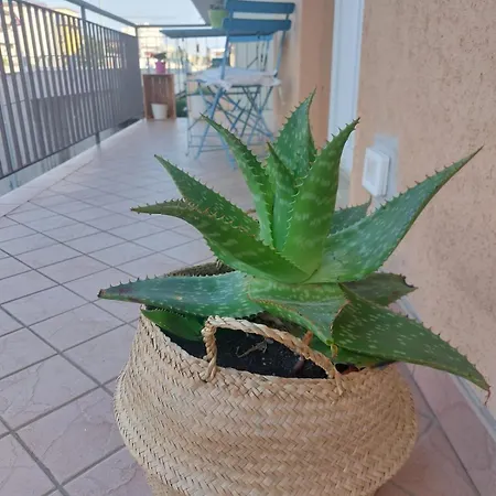 Bluturquoise Apartamento